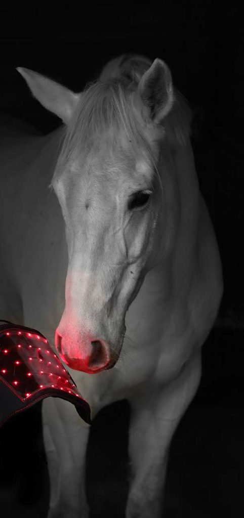 CellKick - Rood lichttherapie
Onderzoeken & studies naar de effecten van rood lichttherapie
