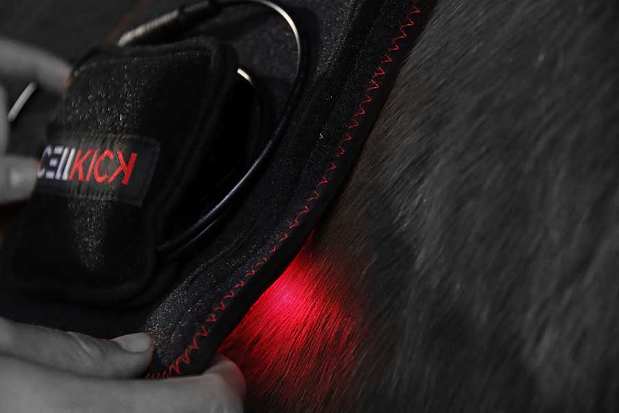 CellKick - Rood lichttherapie
Wat is lichttherapie?