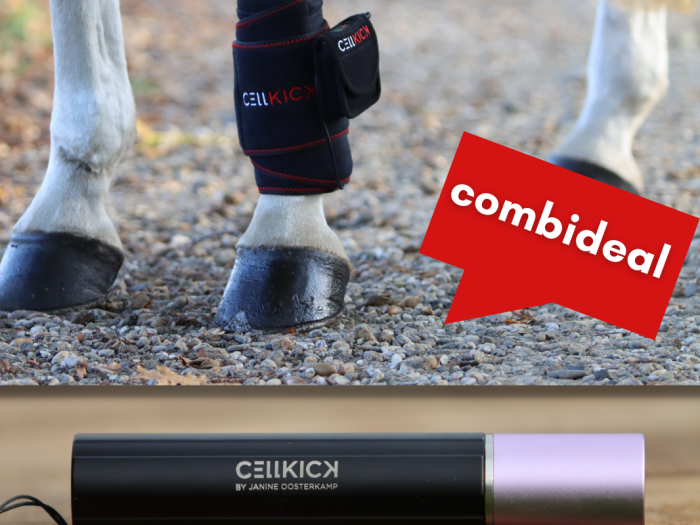 Combideal