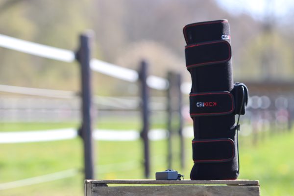 Beenpad Ultimate Full