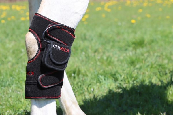 CellKick Sprong pad
