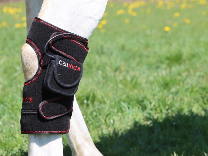CellKick Sprong pad