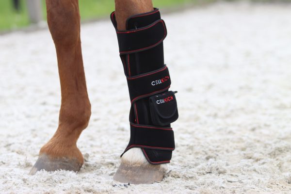 Beenpad Ultimate
