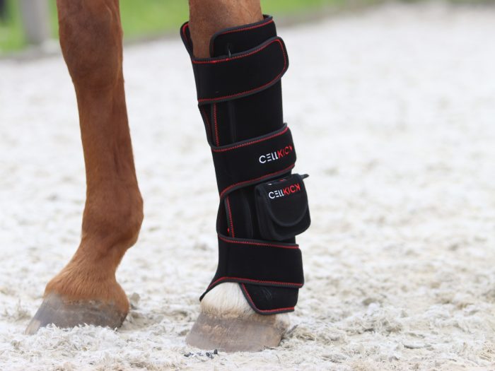 Beenpad Ultimate