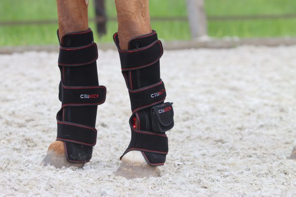 Beenpad Ultimate SET