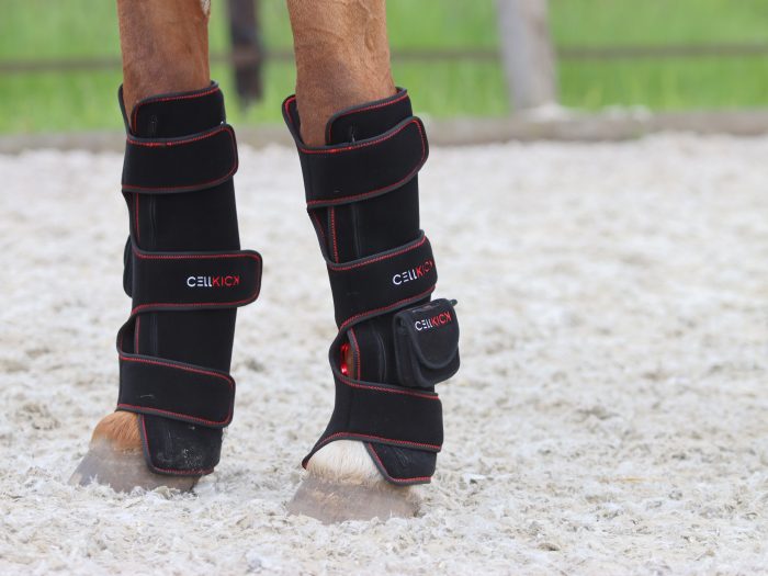 Beenpad Ultimate SET